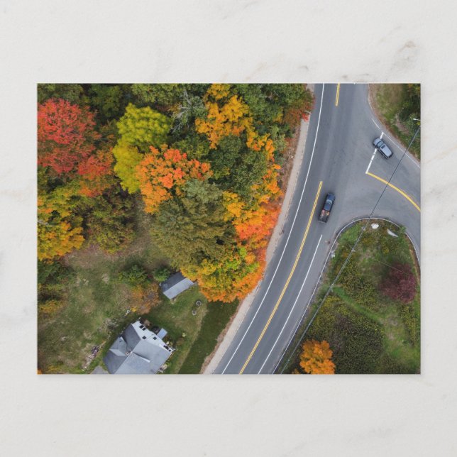 New England Autumn Roadways Postcard (Front)