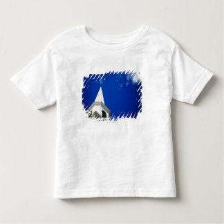 New England Church Steeple with a Royal Blue Sky Toddler T-Shirt