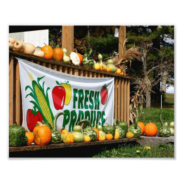 New England Country Farm Stand Fall 8x10 Photo Print (Front)