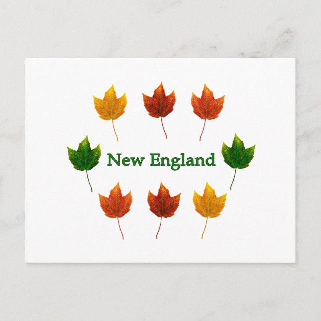 New England Fall Leaves Postcard (Front)