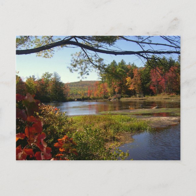 New England Fall Pond Postcards (Front)