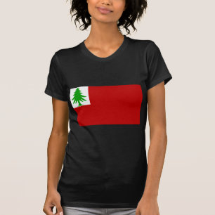 New England Flag T-Shirt