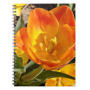 New England Flower Photo Notebook