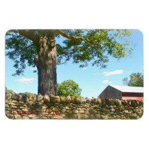 New England Large Magnet