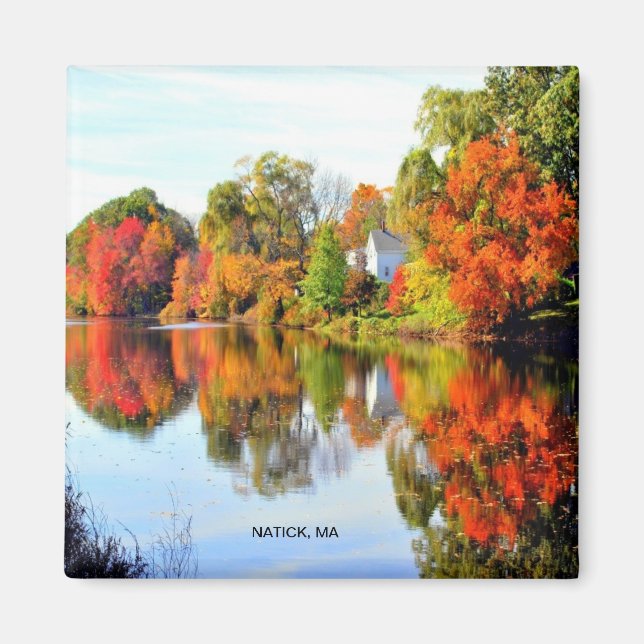 NEW ENGLAND MAGNET (Front)