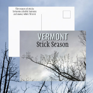 New England Stick Season Vermont Photographic Postcard
