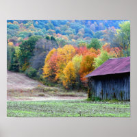New England Tobacco Barn Autumn Foliage Nature