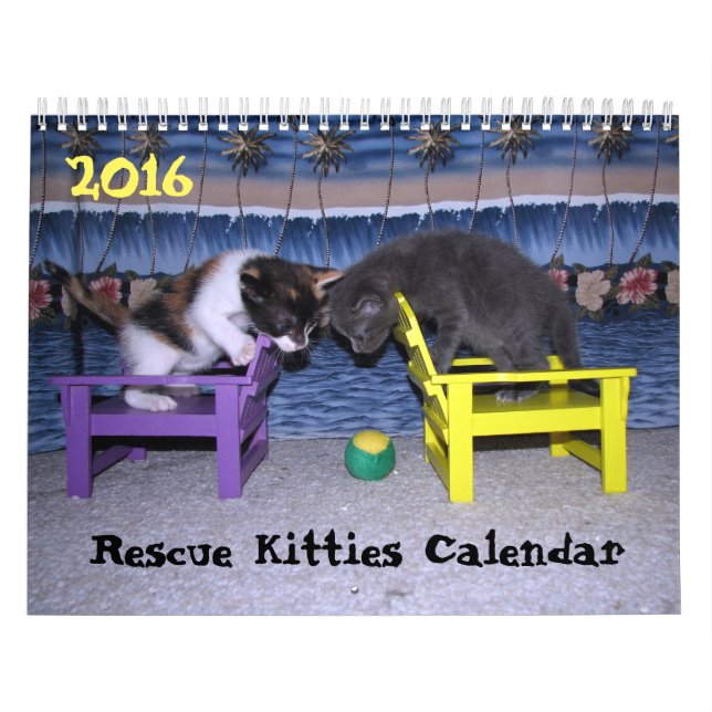 *****NEW for 2016!!! ***** Rescue Kitties Calendar (Cover)