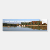 New Forest bumper sticker