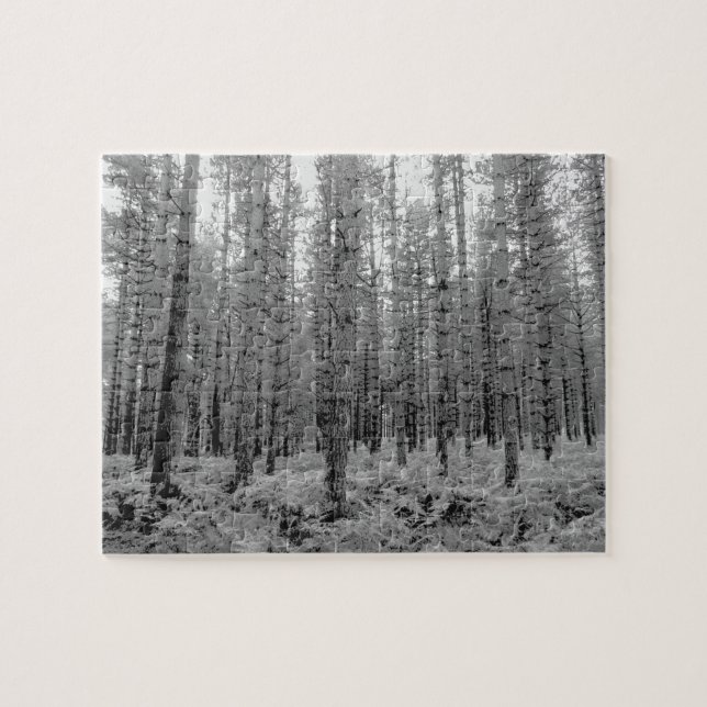 New Forest, Hampshire Pine Tree Forest Jigsaw Puzzle (Horizontal)