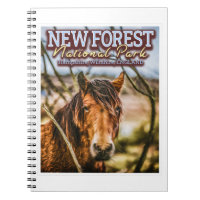 NEW FOREST NATIONAL PARK - NEW FOREST PONY