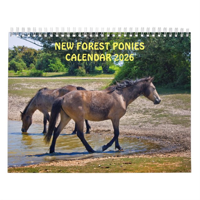 New Forest Ponies Calendar (Cover)