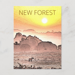 New Forest Pony at Sunrise Postcard
