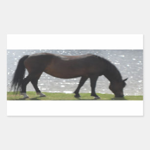 New Forest pony grazing by a sunny lake Rectangular Sticker