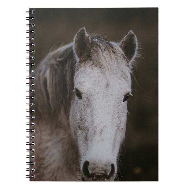 NEW FOREST PONY NOTEBOOK (Front)
