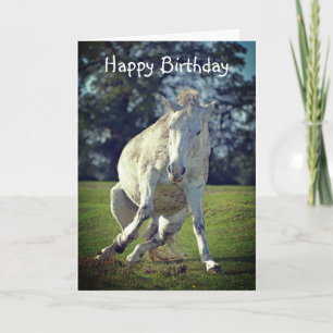 New Forest White Pony Funny Pose Birthday Card