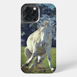 New Forest White Pony Funny Pose iPhone 13 Pro Max Case