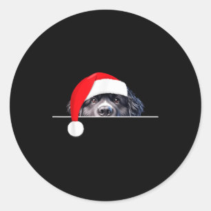 New Foundland Dog Lover Funny Santa Hat Christmas  Classic Round Sticker