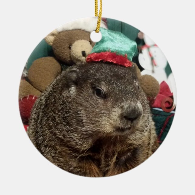 NEW!  Groundhog Moses Christmas Ornament (Front)