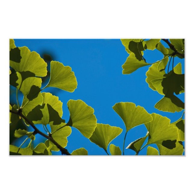 New Growth. Photo Print (Front)