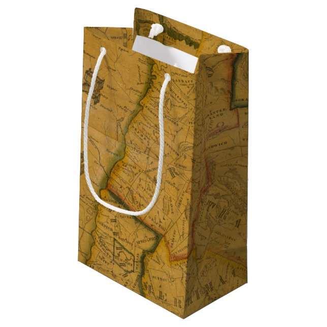 New Hampshire 4 Small Gift Bag (Back Angled)