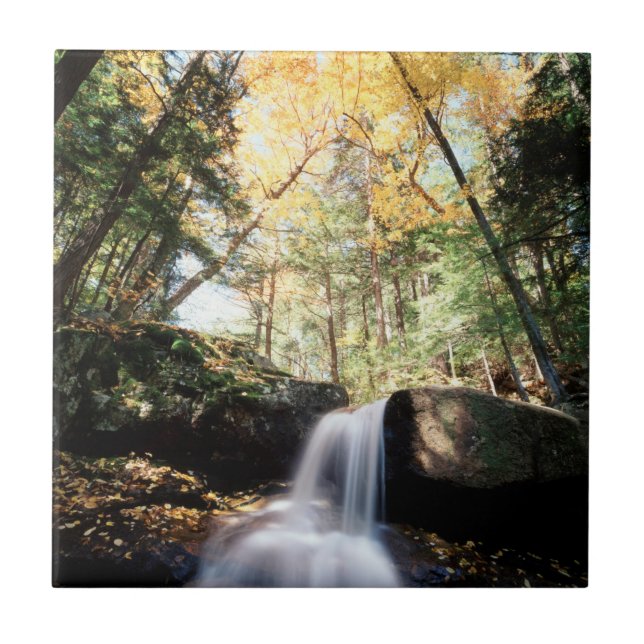 New Hampshire, A waterfall in the White Tile (Front)