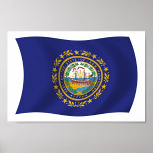 New Hampshire Flag Poster Print