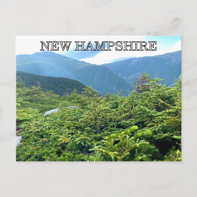 New Hampshire Postcard (Front)