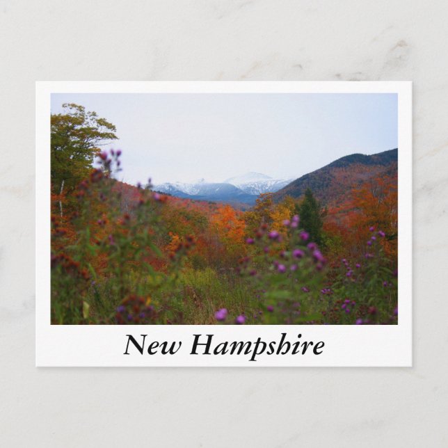 New Hampshire Postcard (Front)