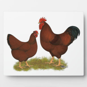 New Hampshire Reds Plaque