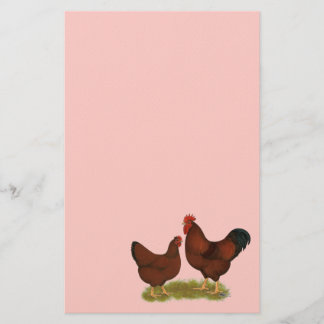 New Hampshire Reds Stationery
