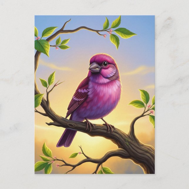 New Hampshire State Bird Purple Finch Postcard (Front)