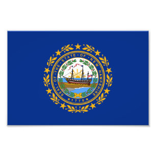 New Hampshire State Flag Photo Print