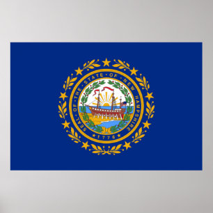 New Hampshire state flag Poster