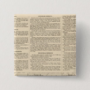 New Hampshire State government 15 Cm Square Badge