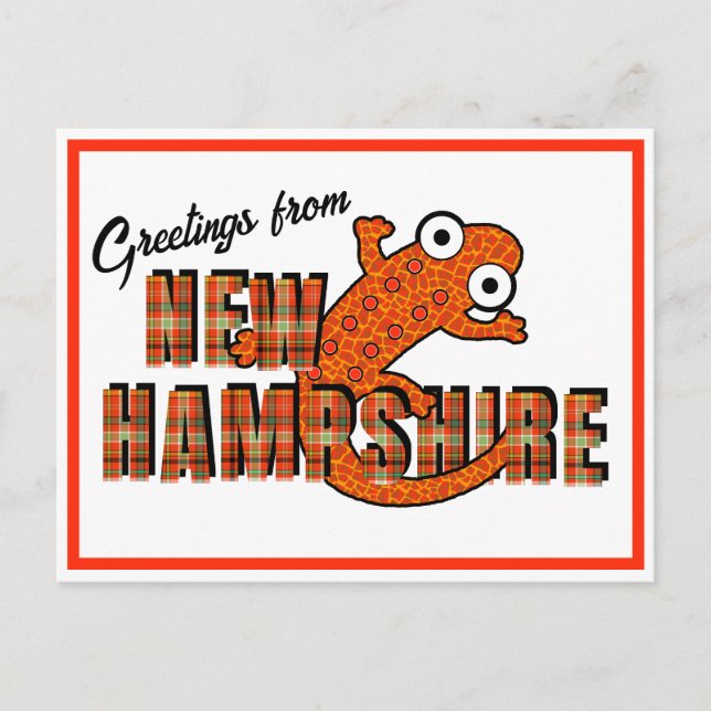 New Hampshire State Symbol Red Spotted Newt Orange Postcard (Front)