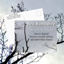 New Hampshire Stick Season New England Photo
