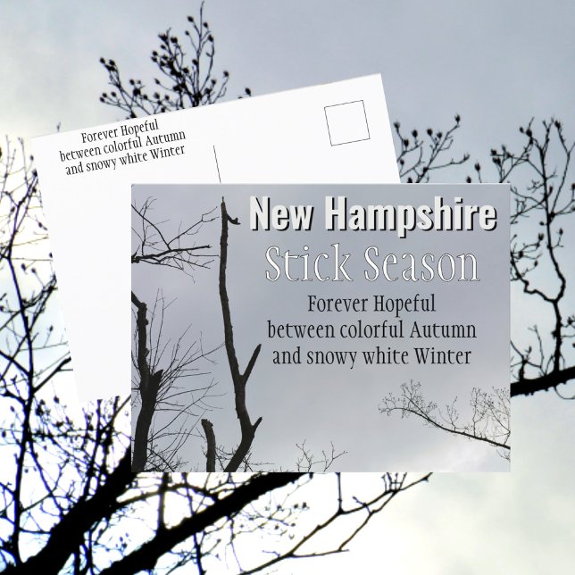 New Hampshire Stick Season New England Photo Postcard (Creator Uploaded)