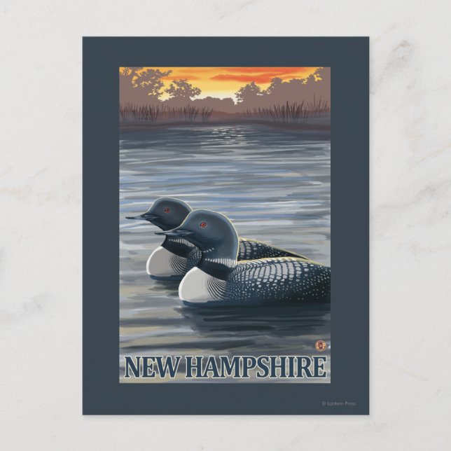 New HampshireCommon Loon Postcard (Front)