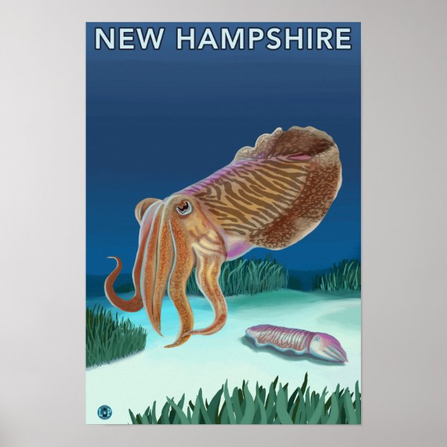 New HampshireCuttlefish Scene Poster (Front)