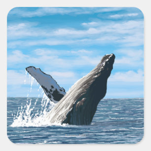New HampshireHumpback Whale Scene Square Sticker