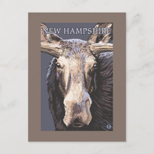 New HampshireMoose Up Close Postcard