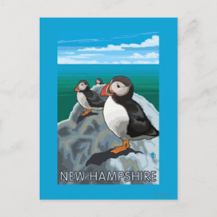 New HampshirePuffins Scene Postcard