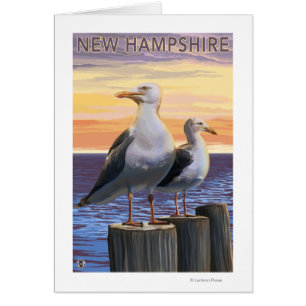 New HampshireSea Gulls Scene