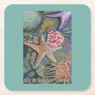 New HampshireTidepool Scene Square Paper Coaster