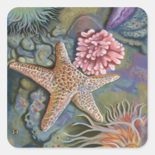 New HampshireTidepool Scene Square Sticker