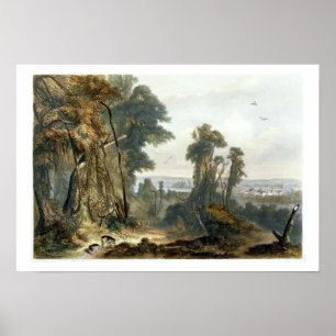 New Harmony on the Wabash, plate 2 from Volume 2 o Poster