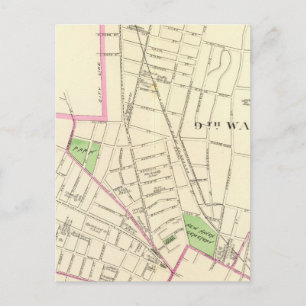 New Haven N Postcard