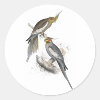 New Holland Parrakeet by Edward Lear Classic Round Sticker