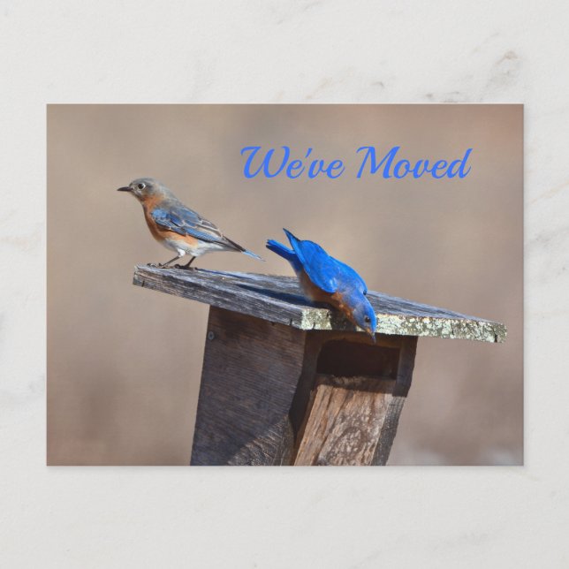 New Home Announcement (Front)